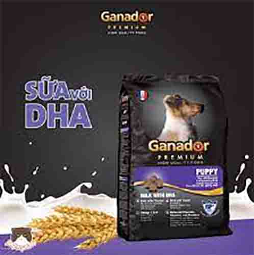 Thức Ăn Cho Chó Ganador Adult 3kg – Hạt Cho Chó Trưởng Thành vị Sữa